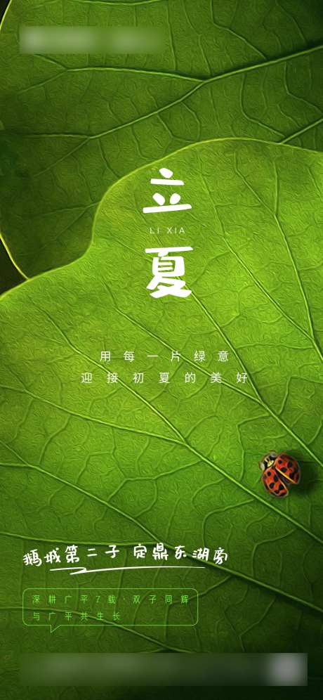 立夏节气海报-采灵感-https://www.cailinggan.com/