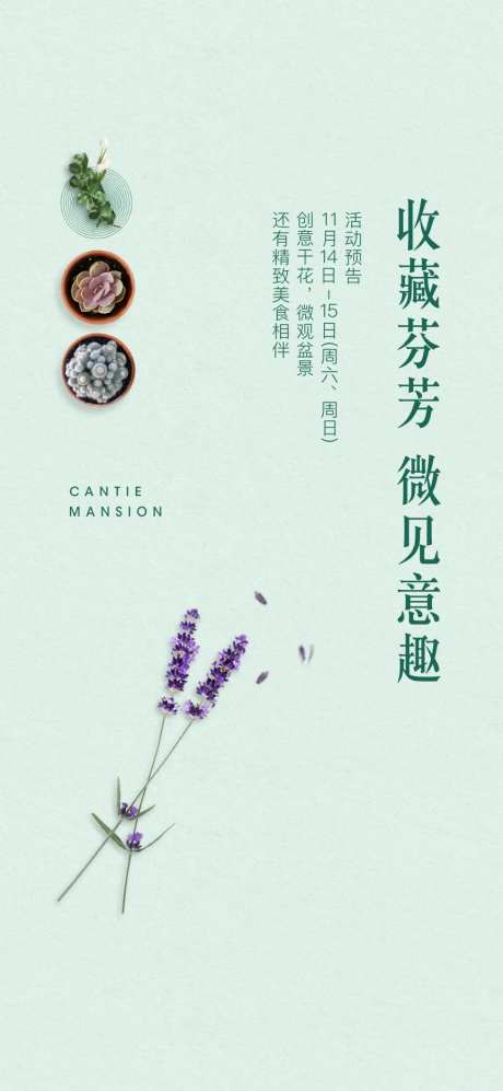 插花手工DIY-采灵感-https://www.cailinggan.com/