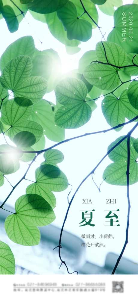 绿色简约清新摄影图夏至节气海报-采灵感-https://www.cailinggan.com/