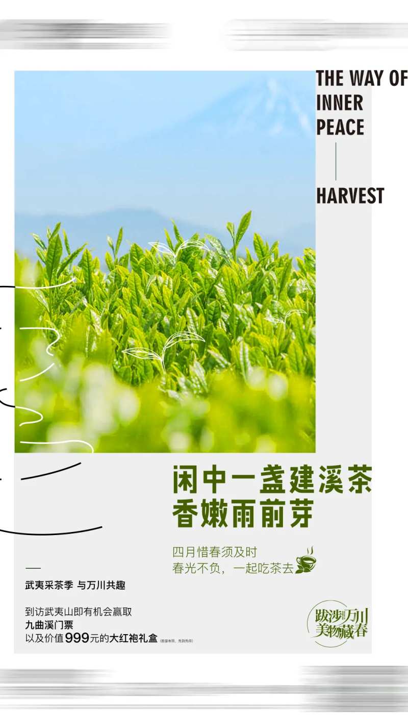 地产文旅新芽单图-采灵感-cailinggan.com