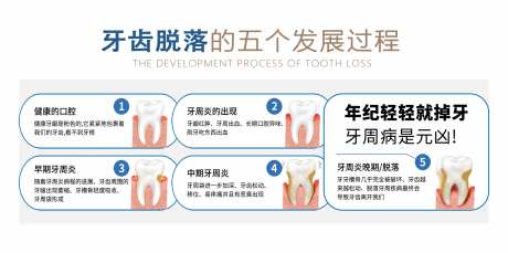 牙齿脱落的过程海报展板-采灵感-https://www.cailinggan.com/