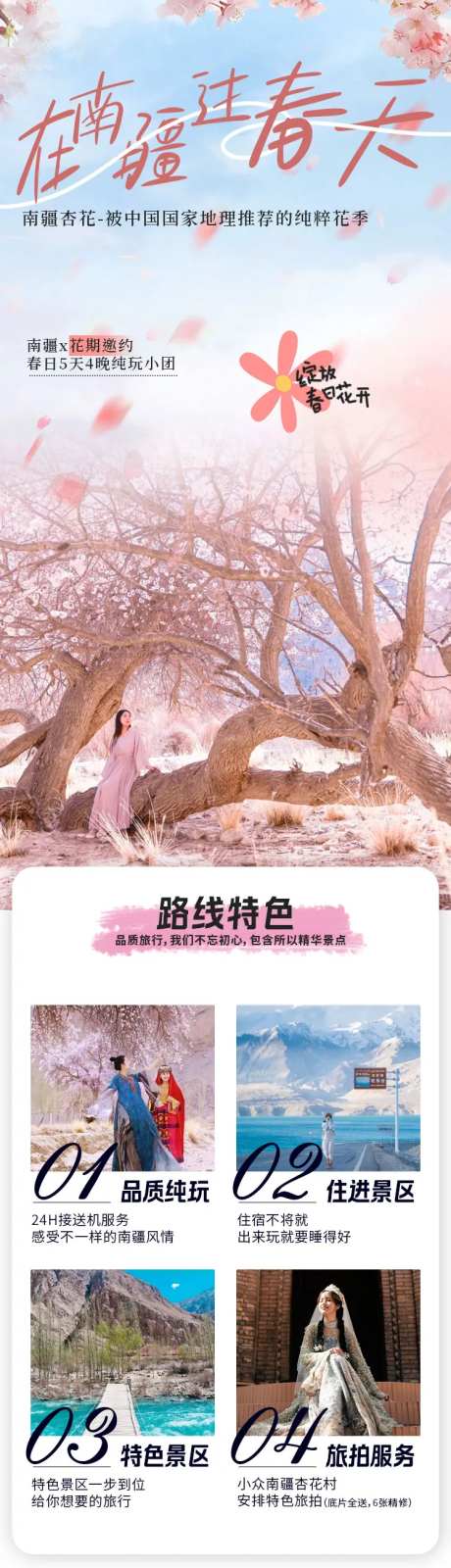 喀什南疆杏花旅游海报详情页杏花详情页-采灵感-https://www.cailinggan.com/