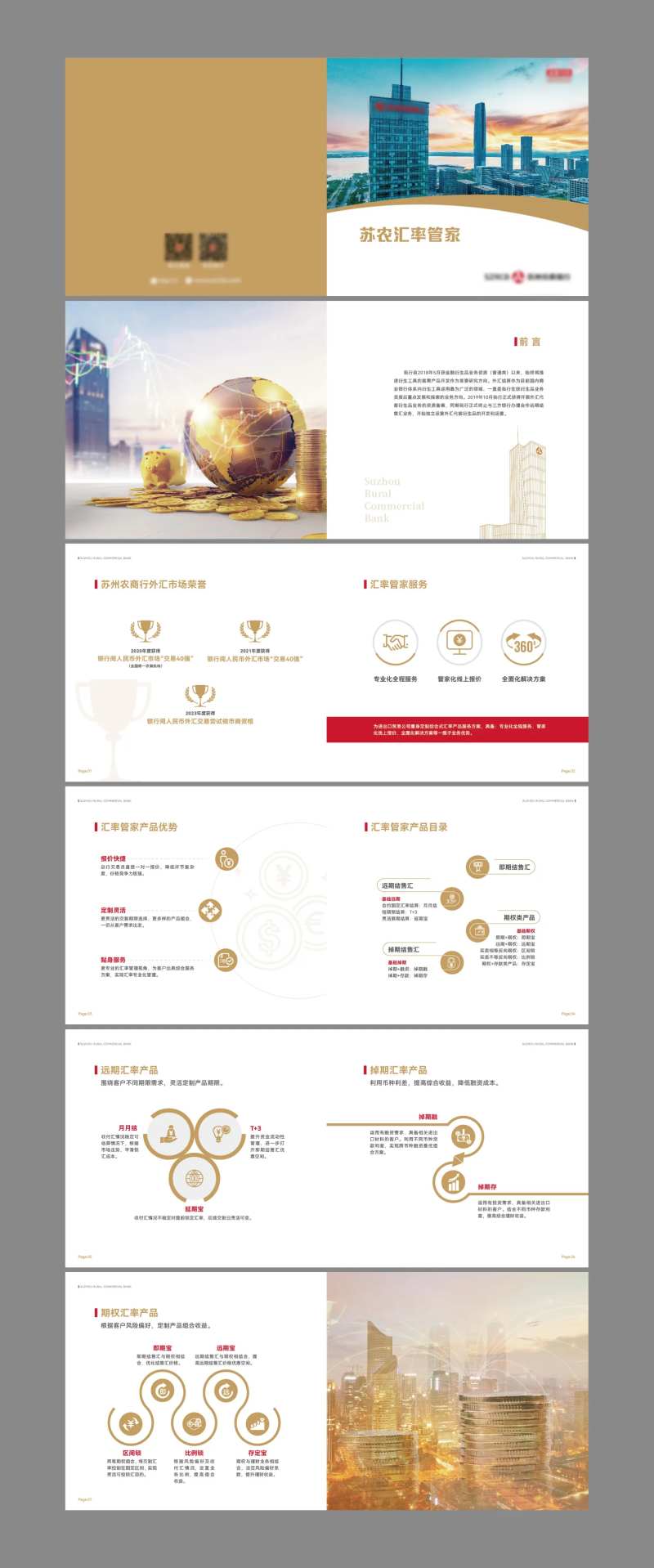 银行金融外汇汇率画册宣传册-采灵感-cailinggan.com