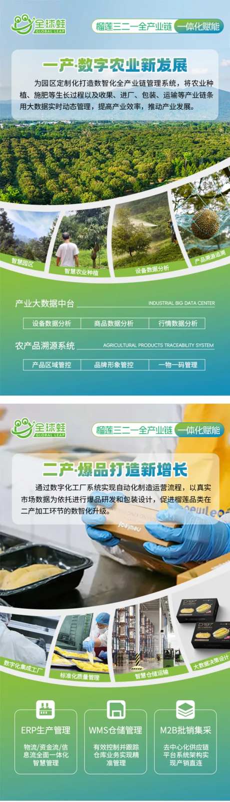 果园海报设计-采灵感-https://www.cailinggan.com/
