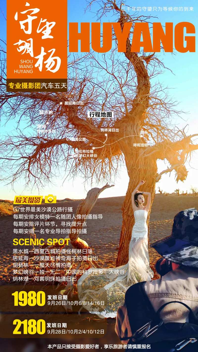 守望的胡杨摄影旅游海报-采灵感-cailinggan.com
