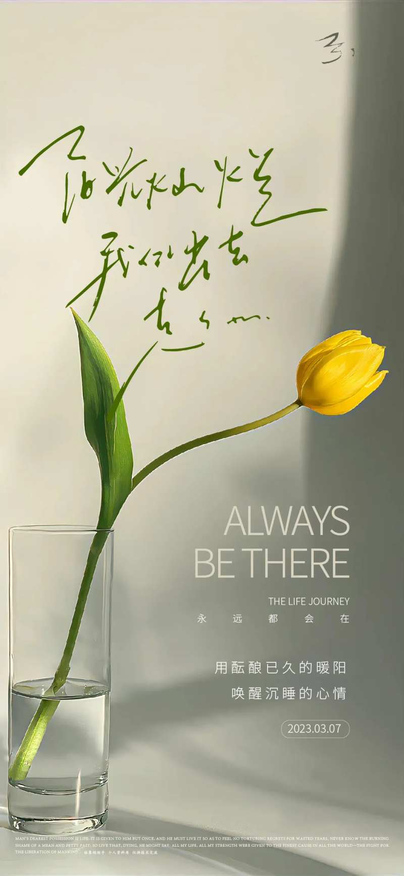 20230307春日暖阳-采灵感-cailinggan.com