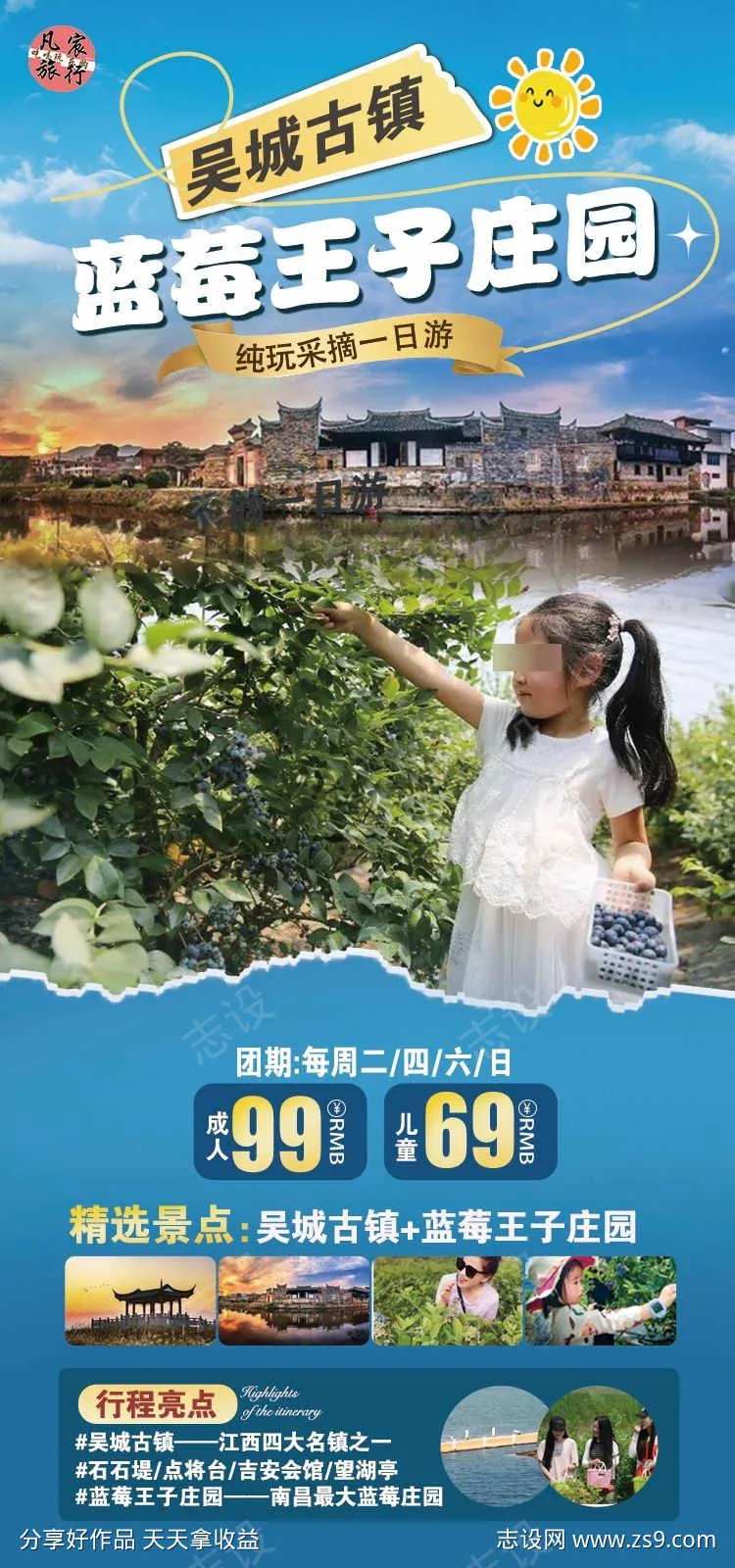 南昌蓝莓采摘原创海报-采灵感-cailinggan.com