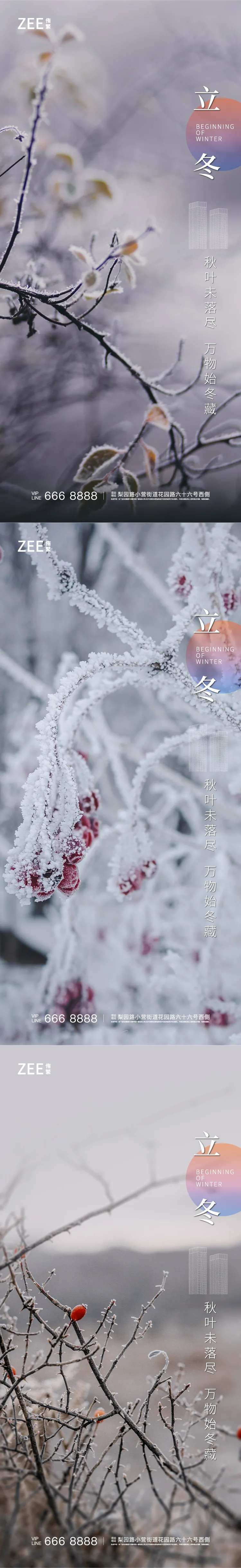 立冬节气海报                                                                                                                                                                                                  -采灵感-cailinggan.com