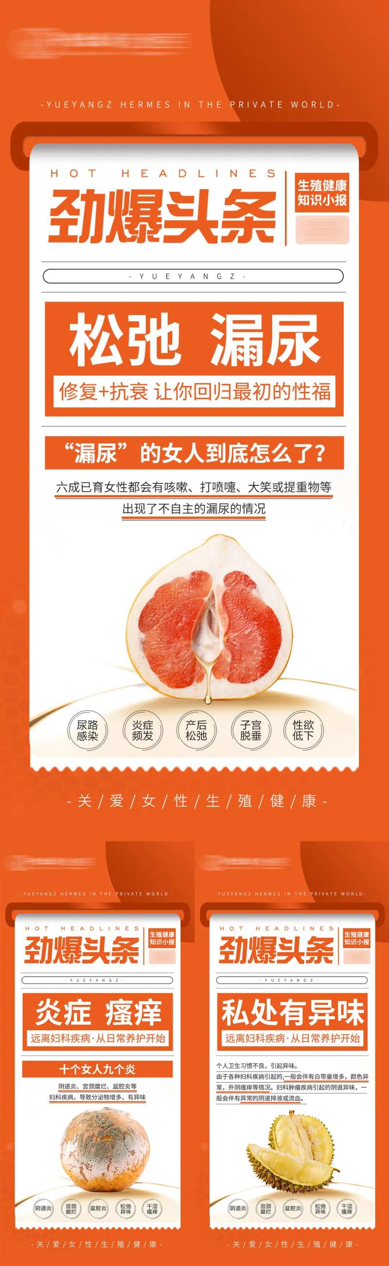 私密私护知识分享科普系列-采灵感-cailinggan.com