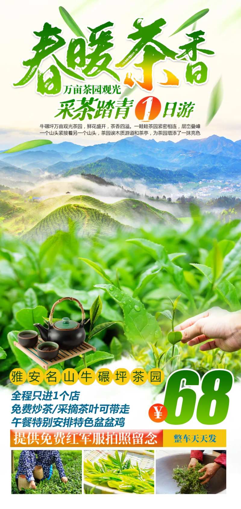 春暖茶香采茶踏青1日游-采灵感-cailinggan.com