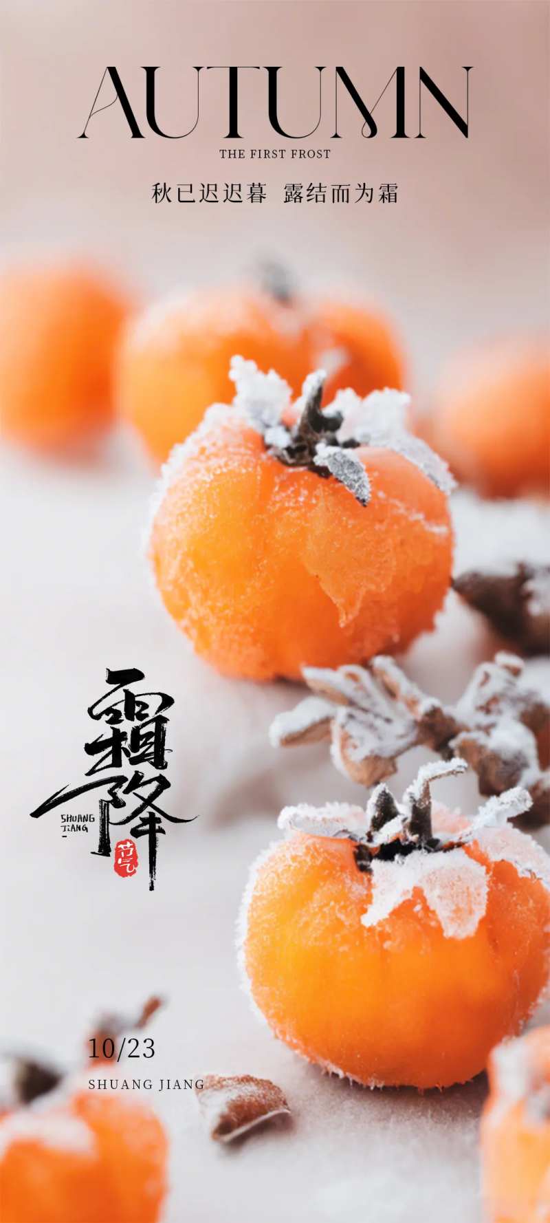 霜降二十四节气秋天海报-采灵感-cailinggan.com