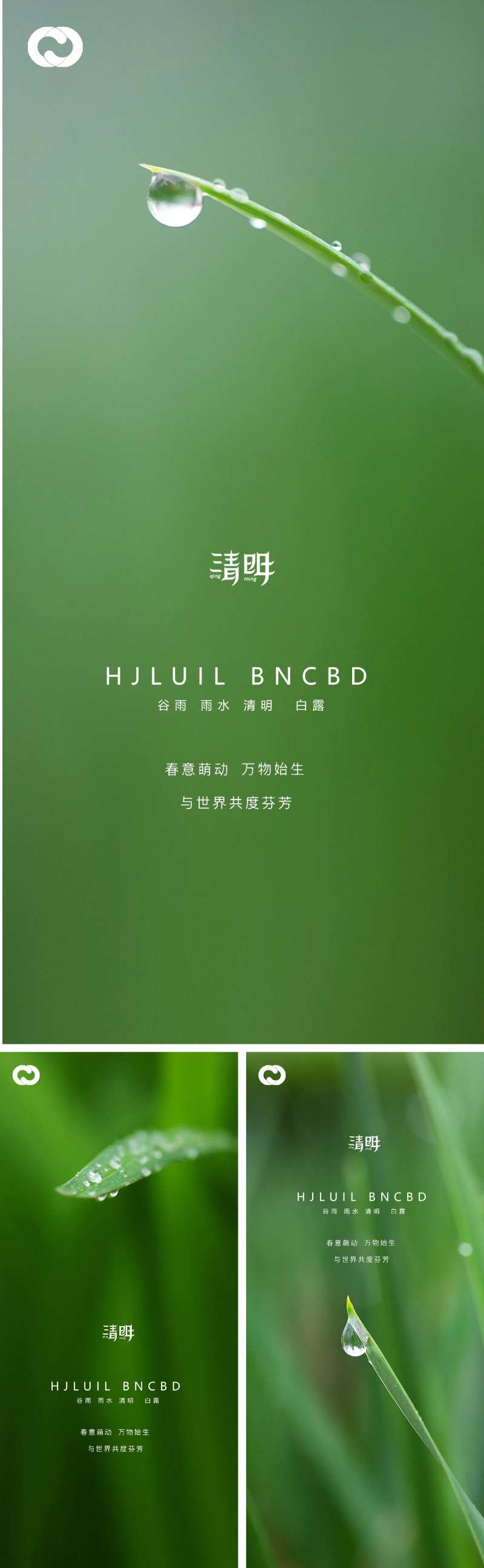 清明谷雨雨水白露夏至立夏节日海报-采灵感-cailinggan.com