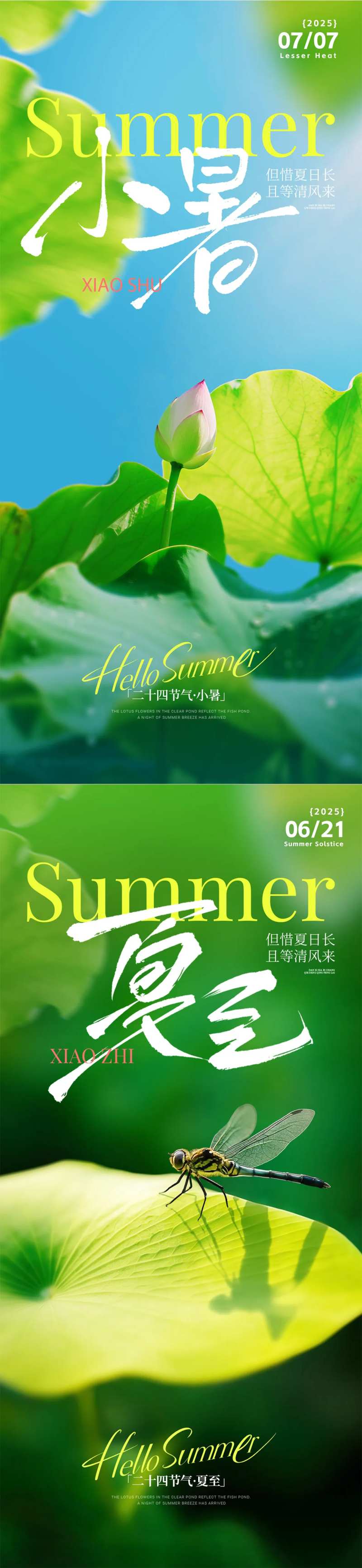 夏至小暑写实海报-采灵感-cailinggan.com