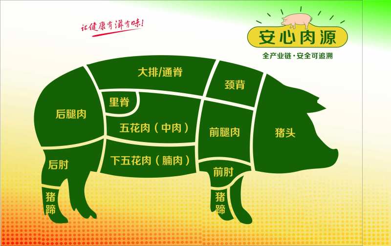 鲜肉展板-采灵感-cailinggan.com