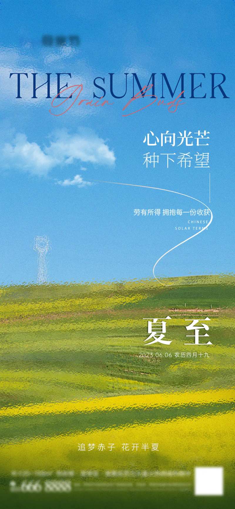 夏至节气海报-采灵感-cailinggan.com