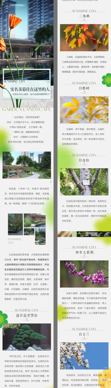 地产园林树种植物介绍-采灵感-https://www.cailinggan.com/