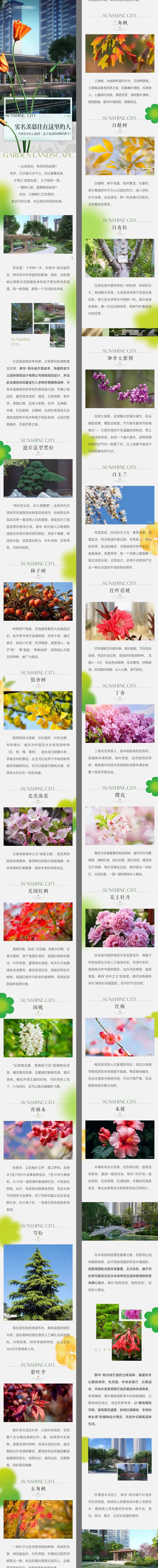 地产园林树种植物介绍-采灵感-cailinggan.com