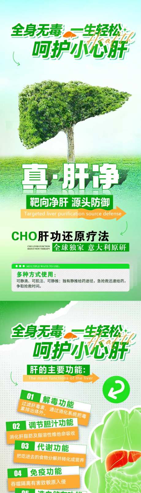 呵护肝健康知识海报-采灵感-https://www.cailinggan.com/