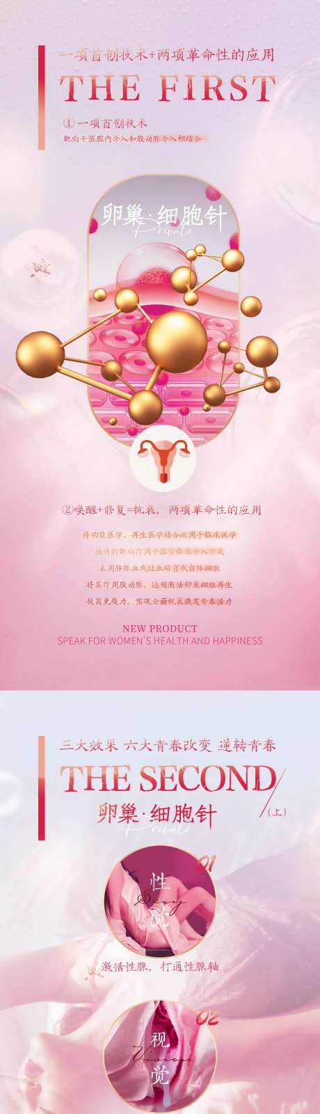 卵巢细胞针功能海报-采灵感-https://www.cailinggan.com/
