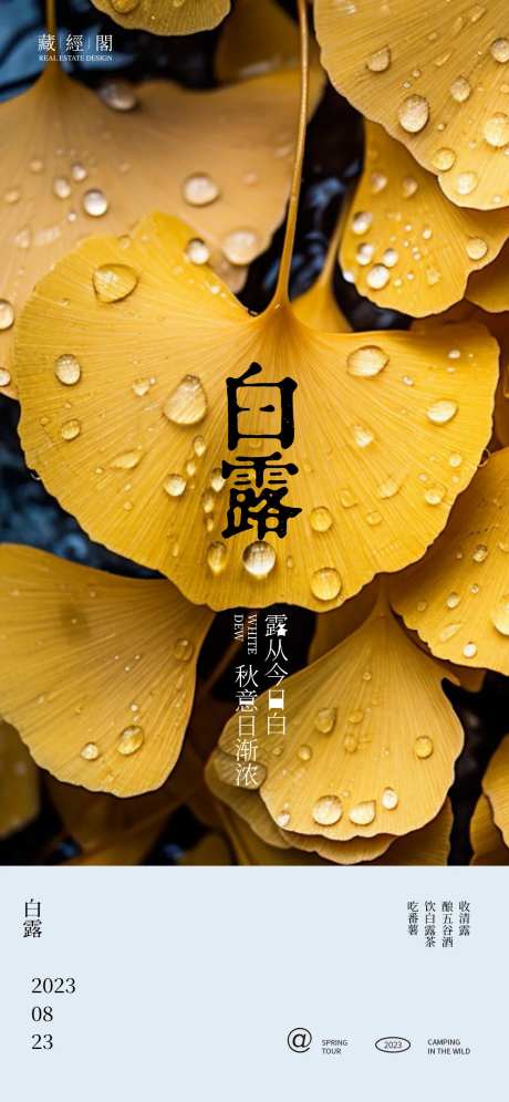 白露露珠节气海报-采灵感-https://www.cailinggan.com/