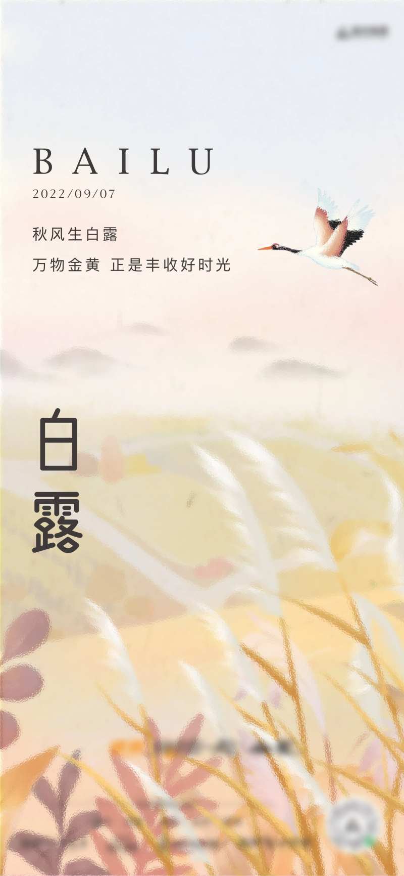 地产白露节气海报-采灵感-cailinggan.com