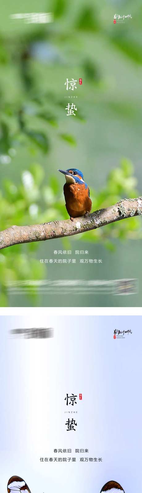 惊蛰-采灵感-cailinggan.com