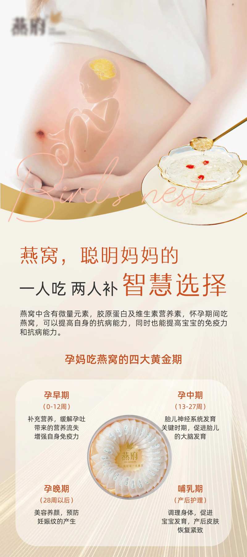 孕期燕窝海报-采灵感-cailinggan.com