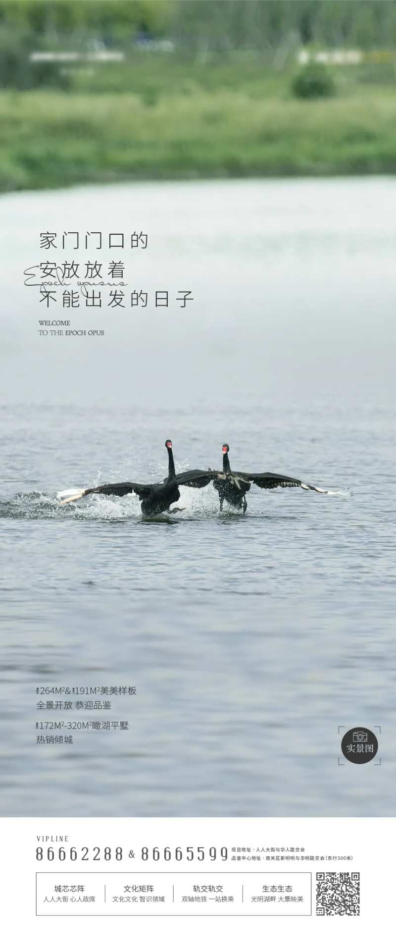 地产水景广告-采灵感-cailinggan.com
