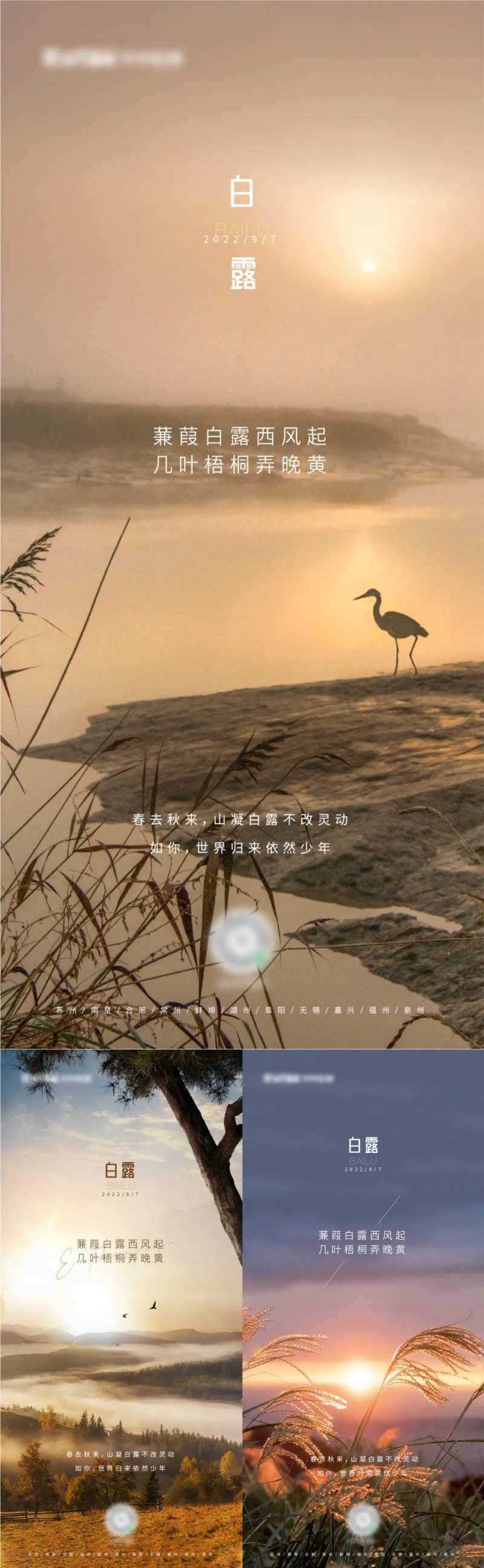 白露节气意景系列稿-采灵感-cailinggan.com