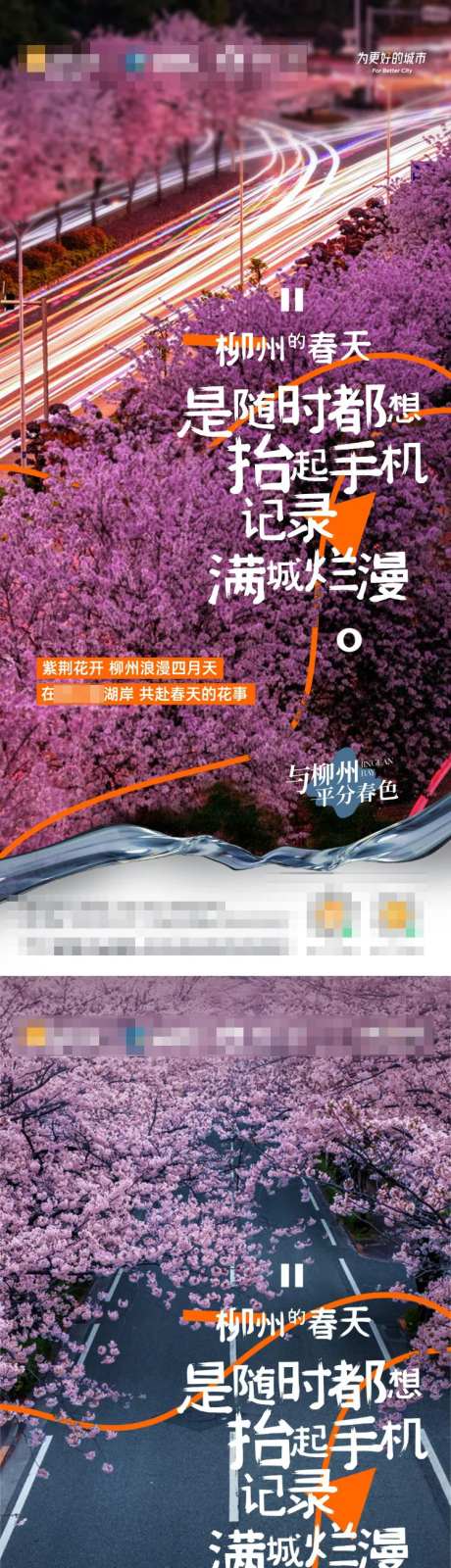紫荆花系列-采灵感-https://www.cailinggan.com/