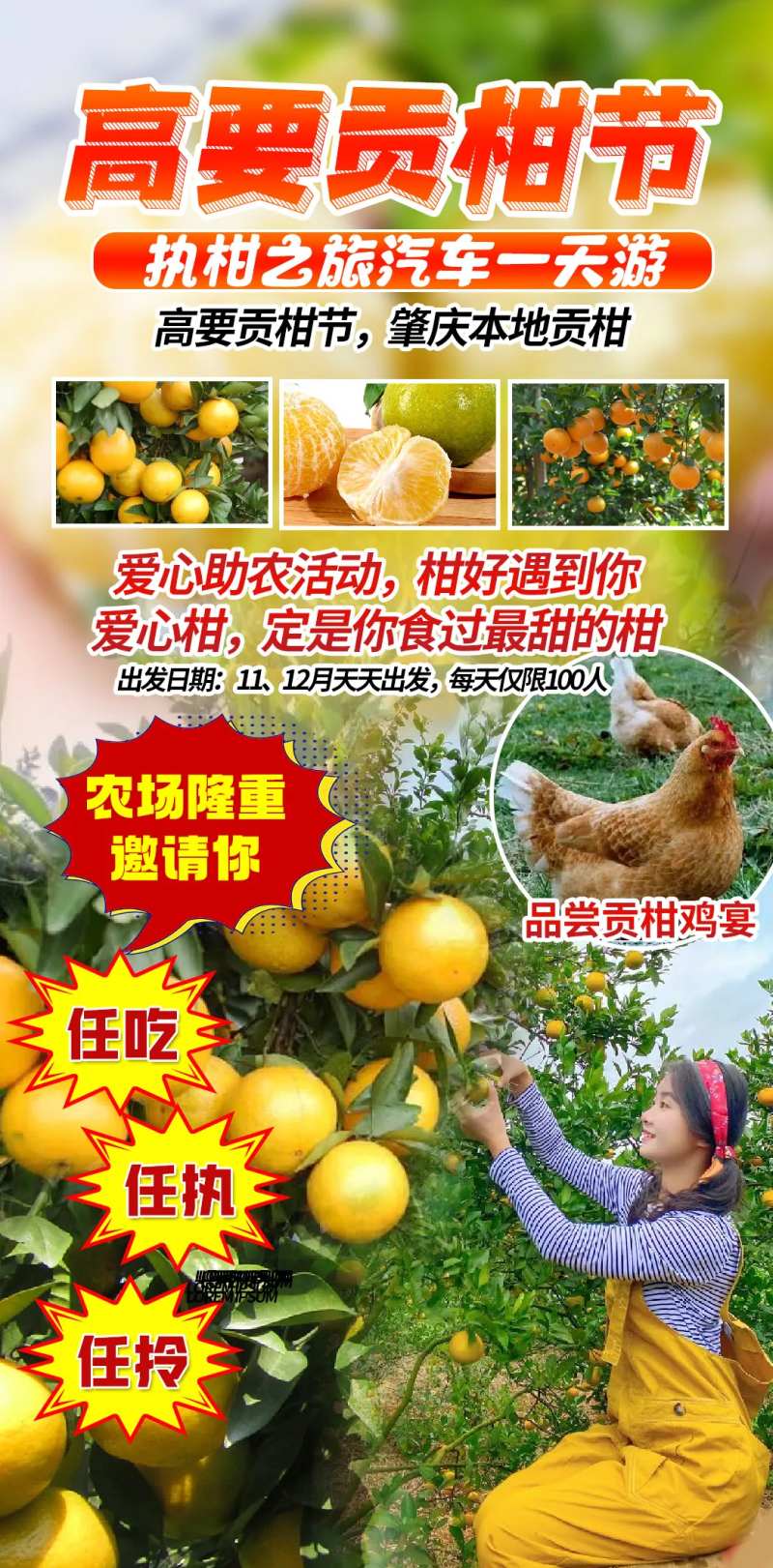 柑橘旅游海报-采灵感-cailinggan.com