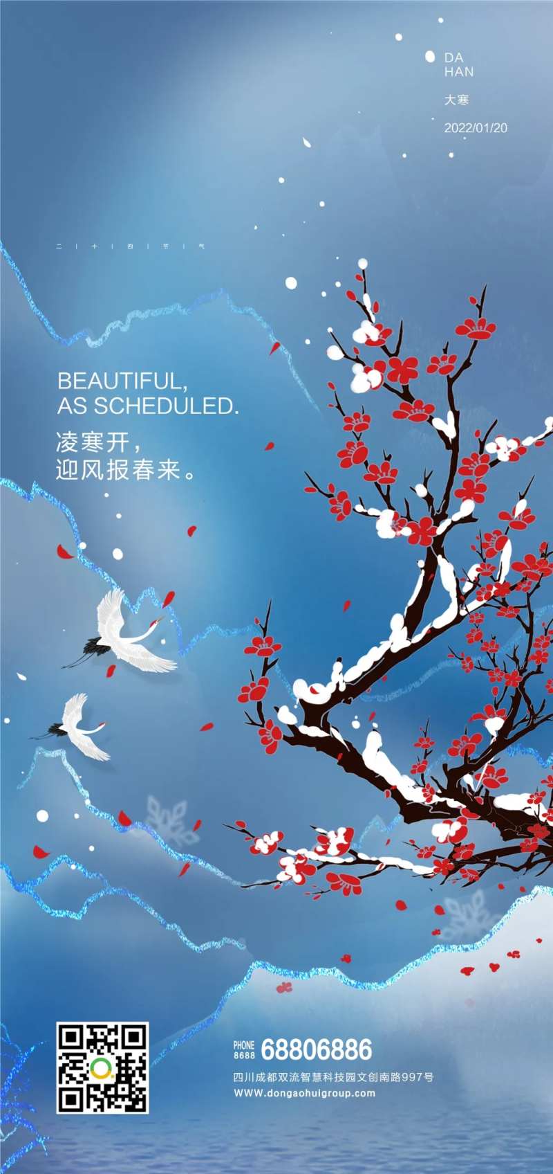 腊梅大寒节气海报-采灵感-cailinggan.com