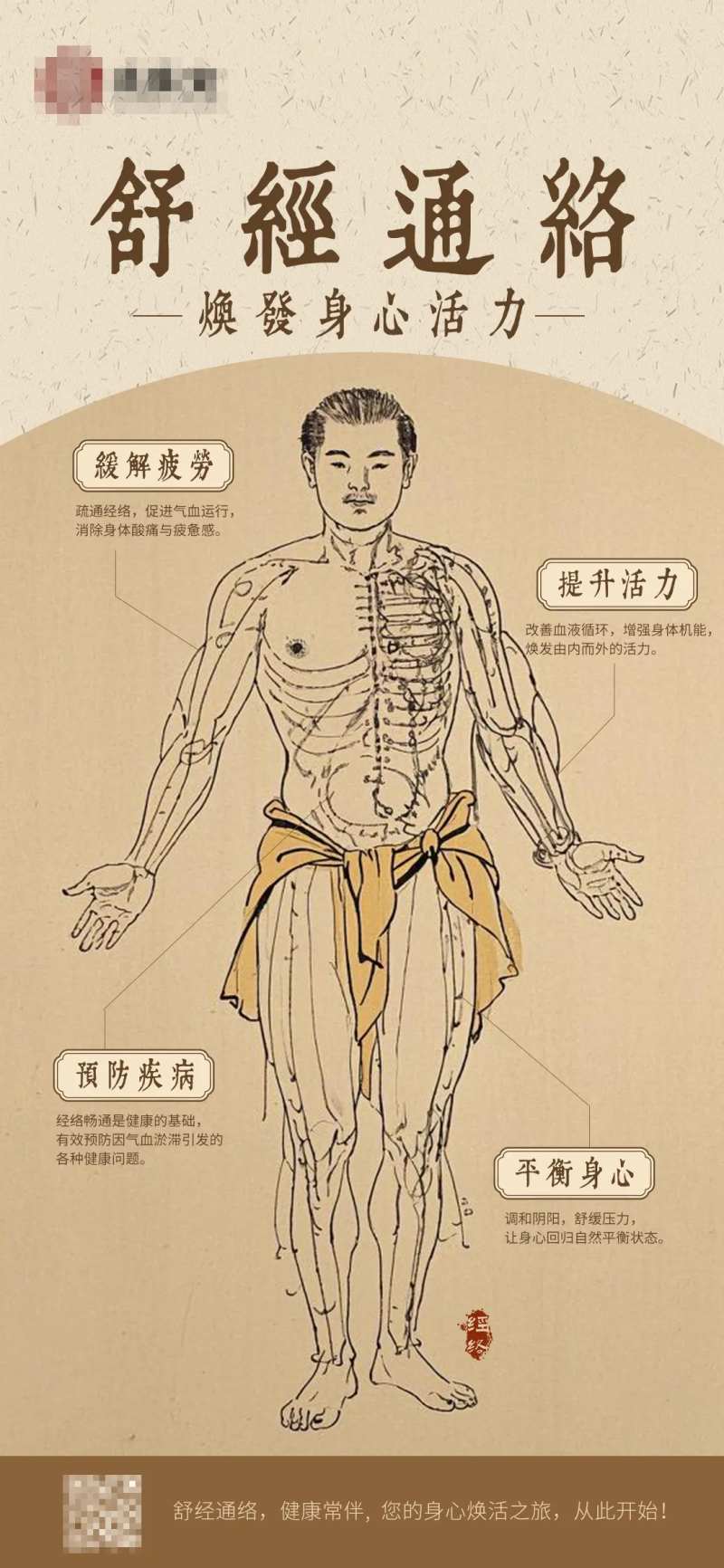 中式中医药养生舒经通络海报-采灵感-cailinggan.com