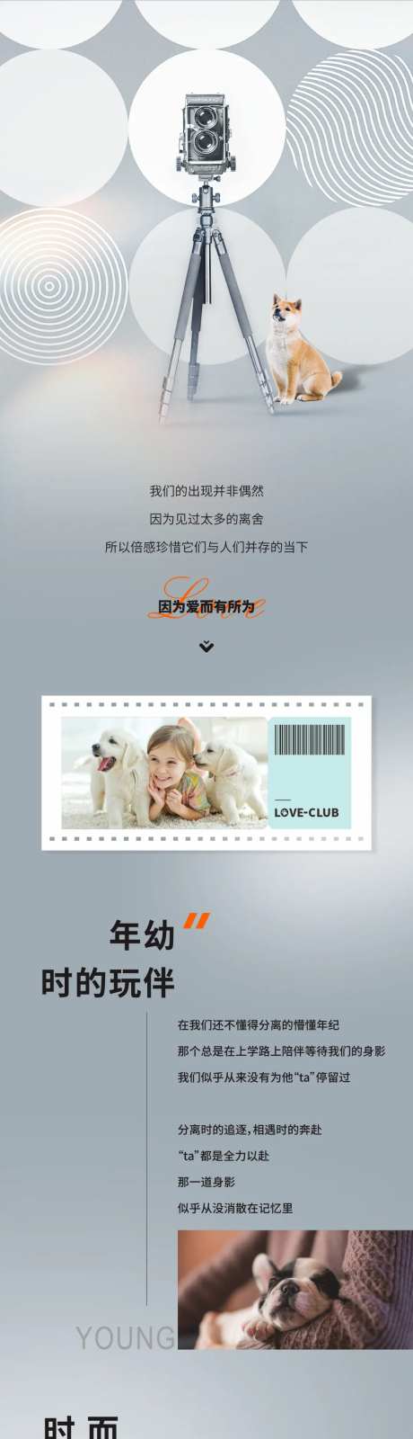 宠物质感高级灰长图海报-采灵感-https://www.cailinggan.com/