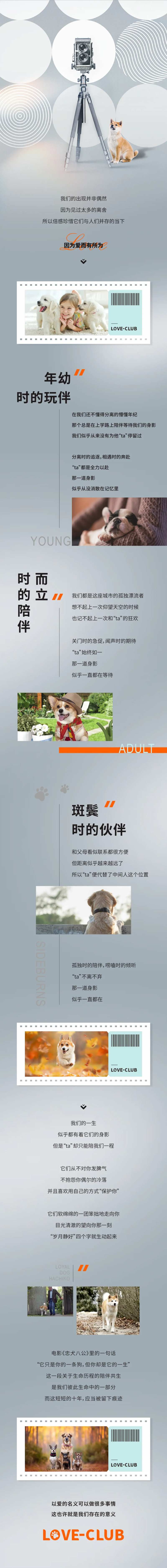 宠物质感高级灰长图海报-采灵感-cailinggan.com