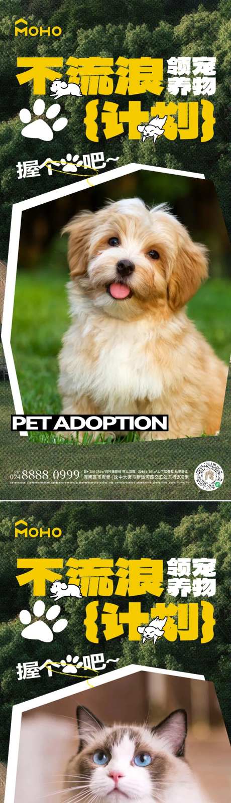 地产宠物不流浪领养海报-采灵感-https://www.cailinggan.com/