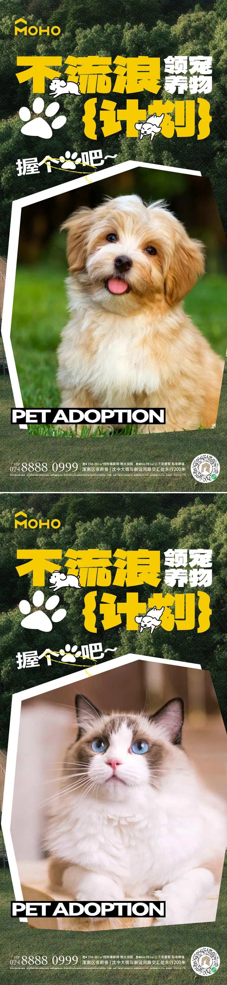 地产宠物不流浪领养海报-采灵感-cailinggan.com