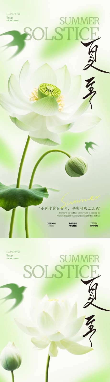 夏至荷花节气海报 -采灵感-https://www.cailinggan.com/