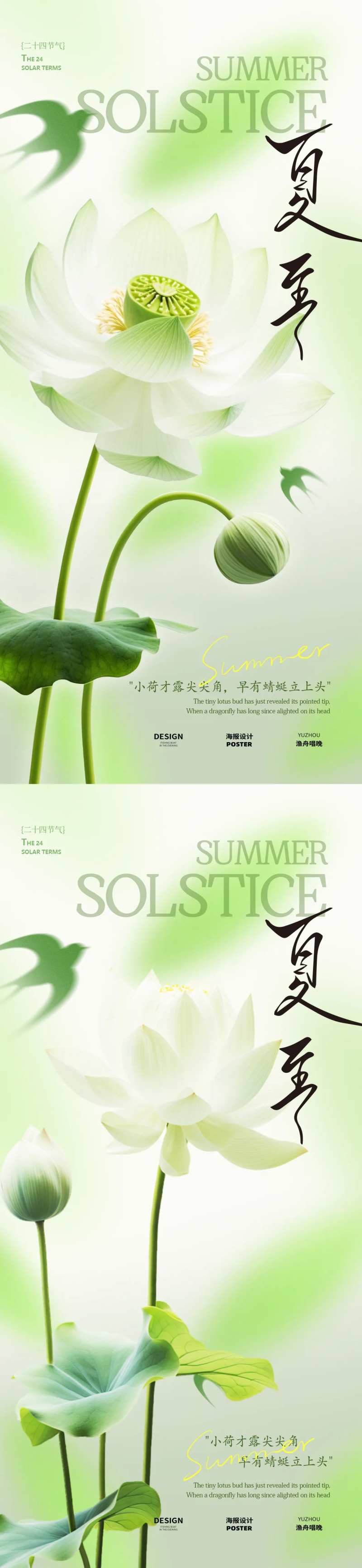夏至荷花节气海报 -采灵感-cailinggan.com