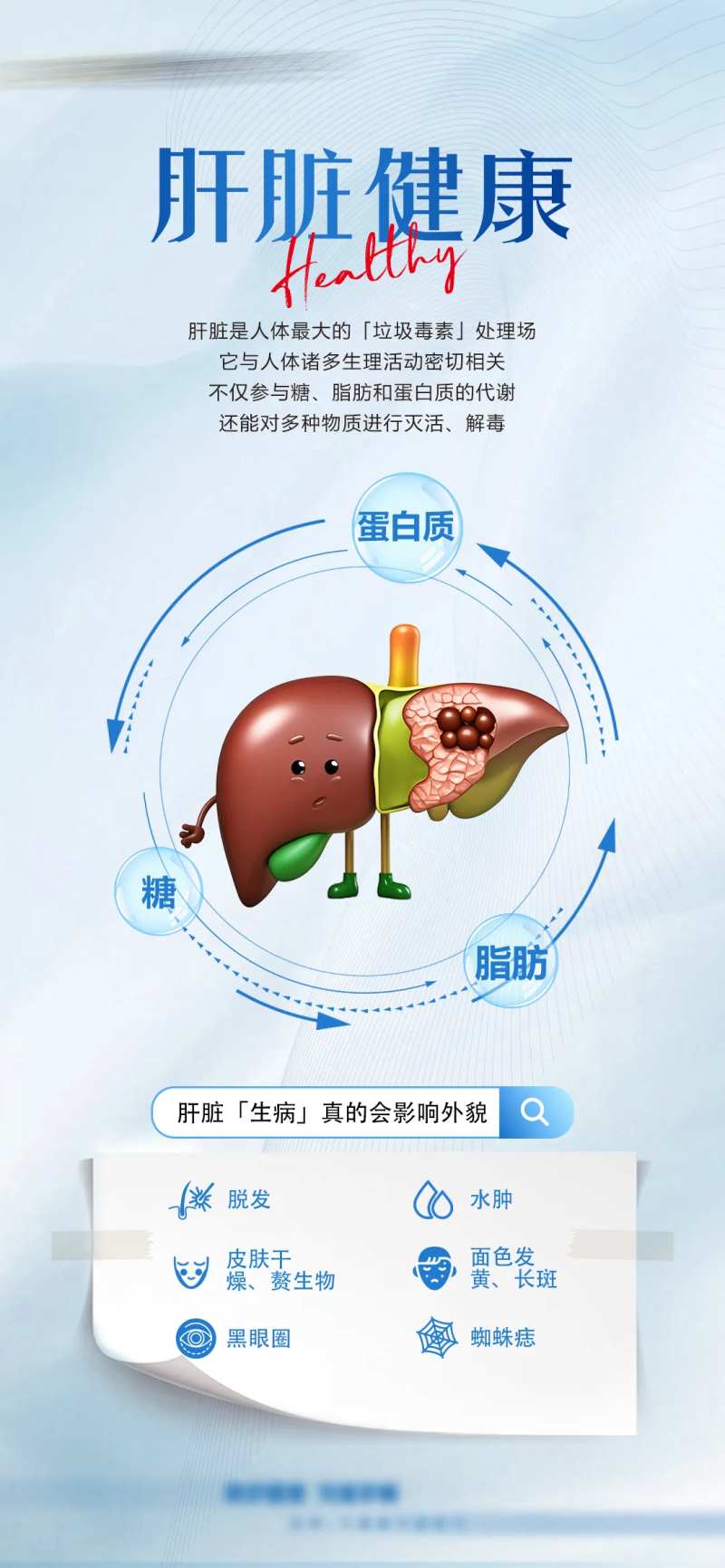肝脏健康-采灵感-cailinggan.com