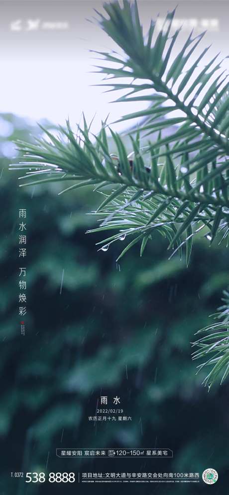 雨水节气海报-采灵感-https://www.cailinggan.com/