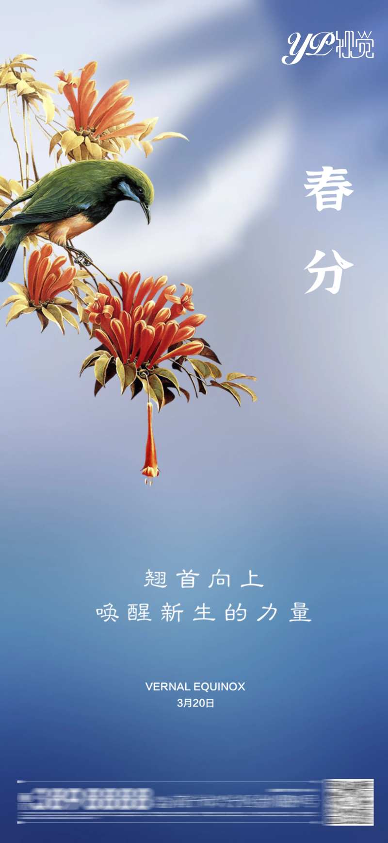 地产春分海报-采灵感-cailinggan.com