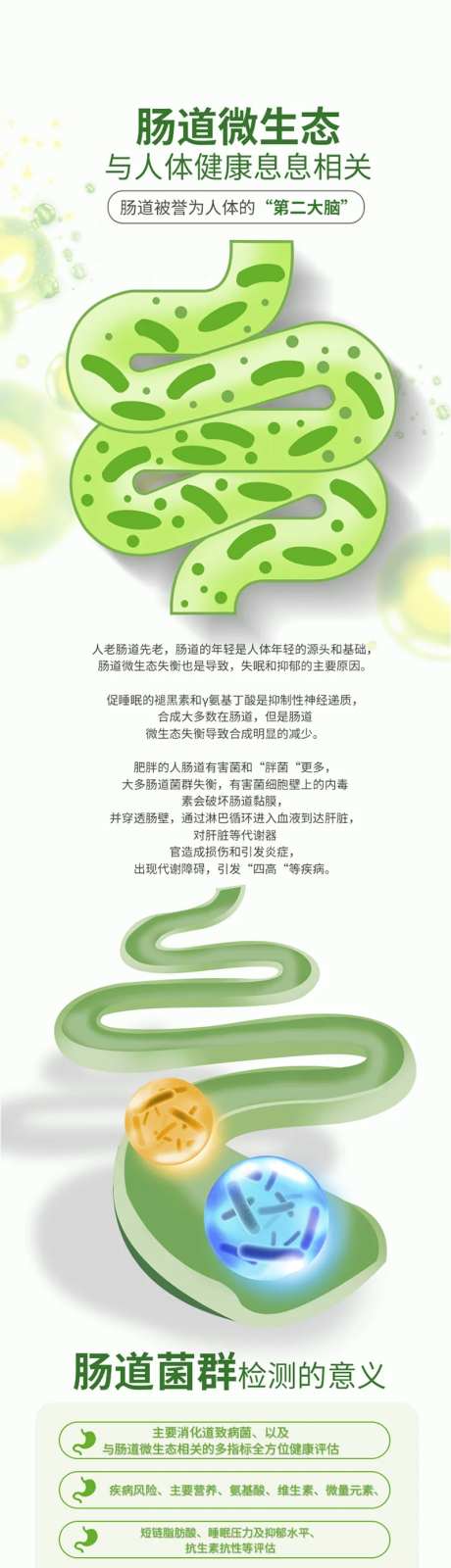 大健康肠道菌群海报-采灵感-https://www.cailinggan.com/