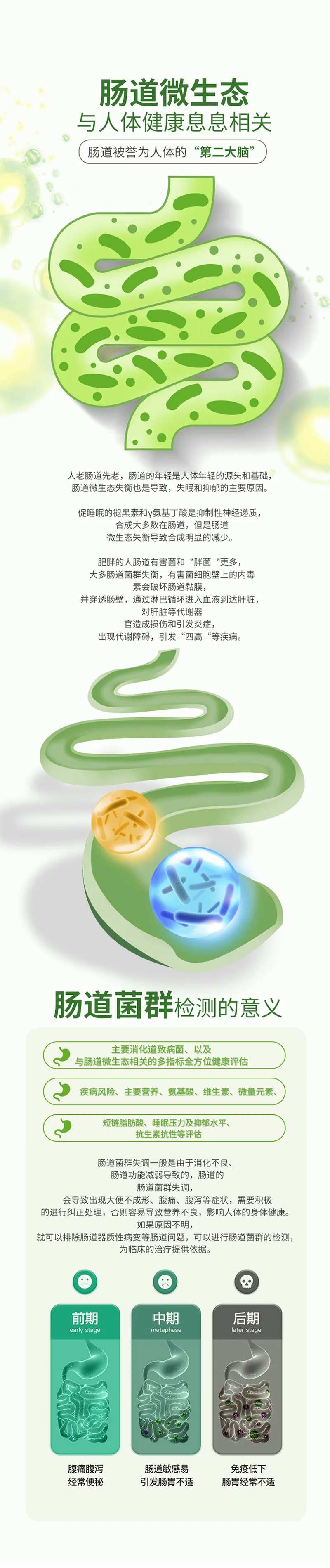 大健康肠道菌群海报-采灵感-cailinggan.com