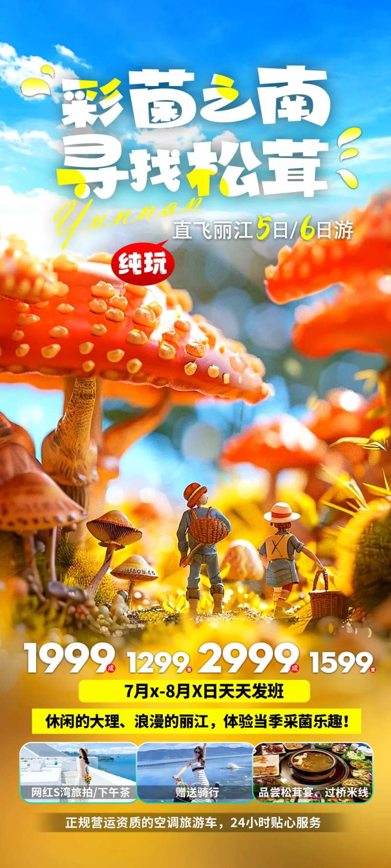 彩菌之南寻找松茸-采灵感-cailinggan.com