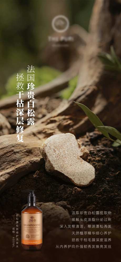 洗护系列洗发露产品海报-采灵感-https://www.cailinggan.com/