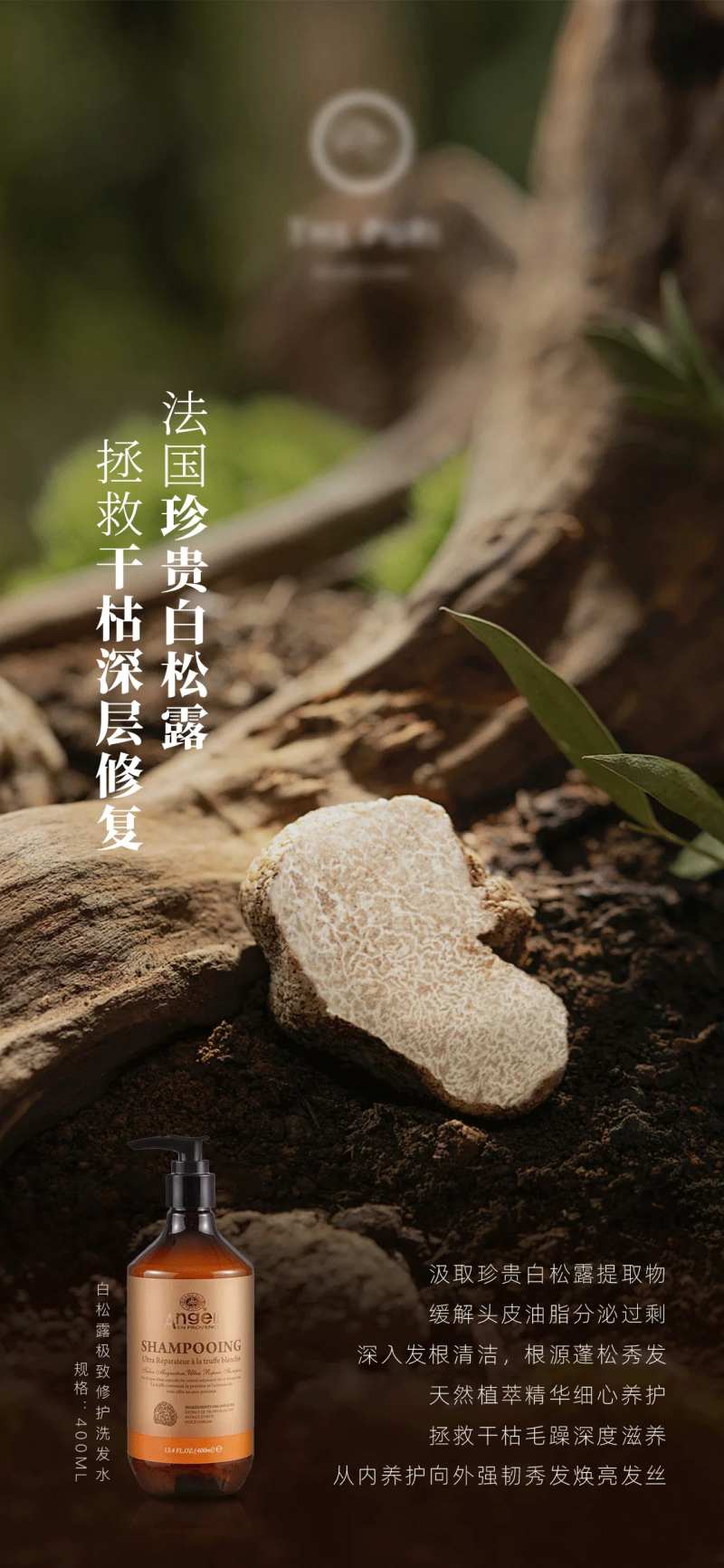 洗护系列洗发露产品海报-采灵感-cailinggan.com