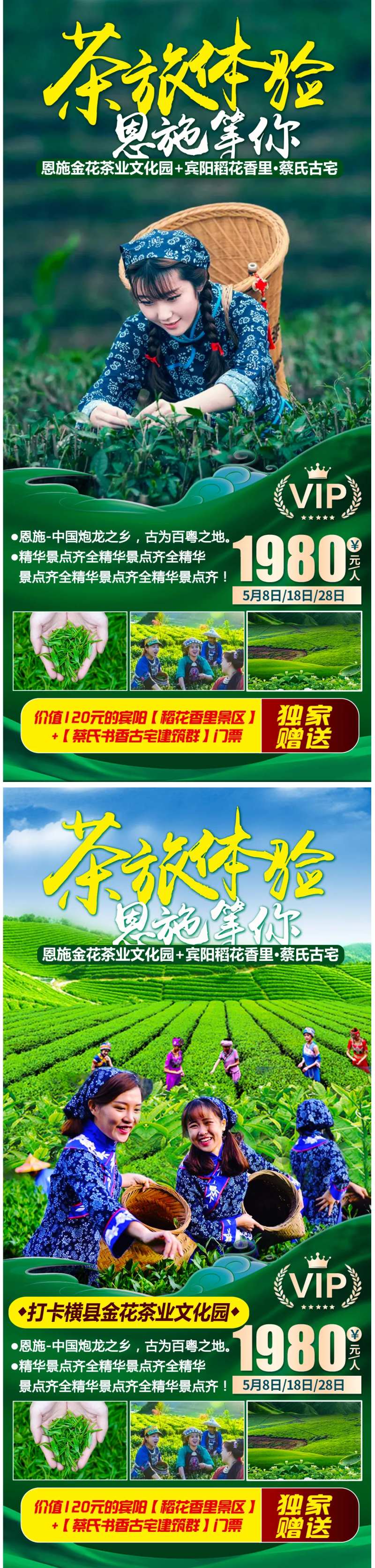 恩施采摘之旅系列海报-采灵感-cailinggan.com