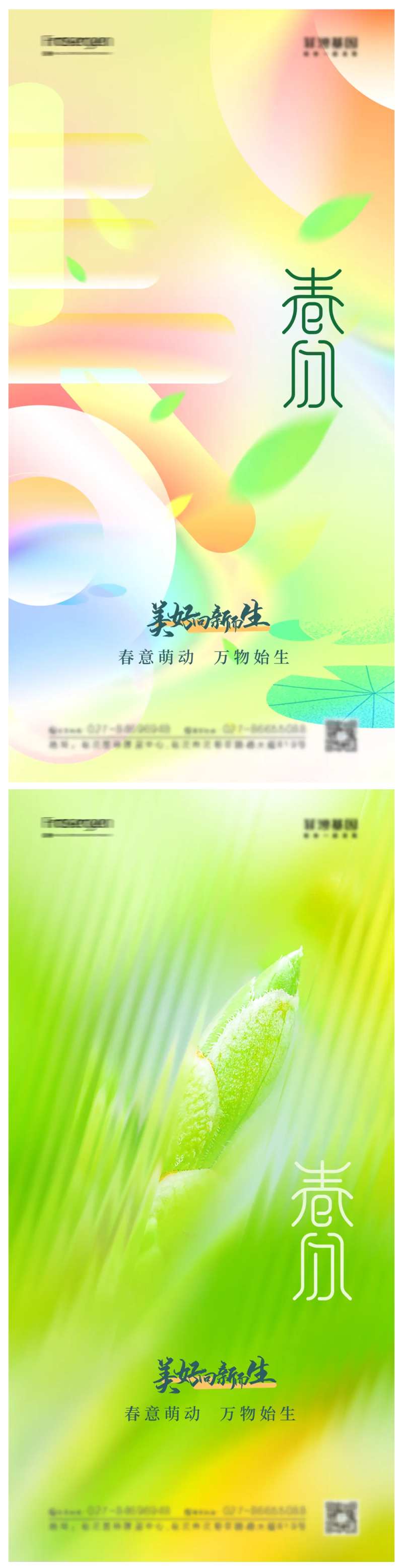 春分节气海报-采灵感-cailinggan.com