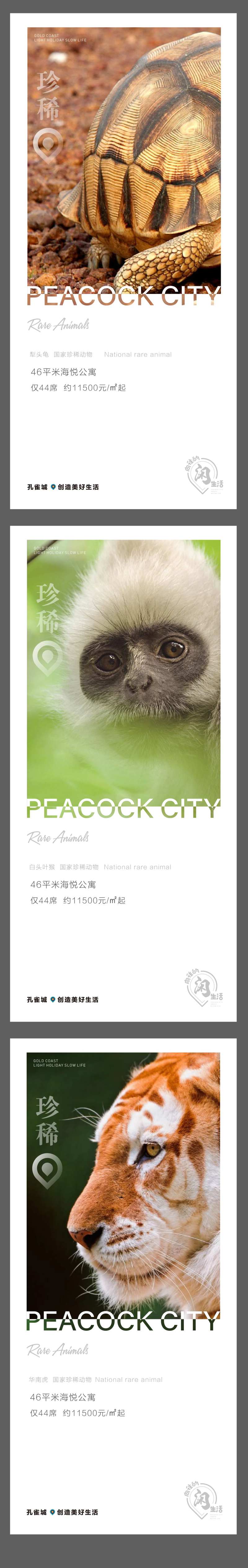 稀有动物海报-采灵感-cailinggan.com